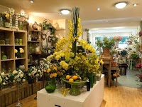 The Flower Shop 1087744 Image 3